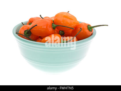 Vista laterale di una ciotola di orange habanero peppers isolato su uno sfondo bianco. Foto Stock