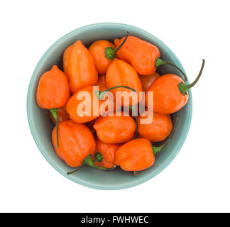 Vista dall'alto di una ciotola di orange habanero peppers isolato su uno sfondo bianco. Foto Stock