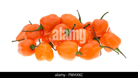 Vista laterale di un gruppo di orange habanero peppers isolato su uno sfondo bianco. Foto Stock