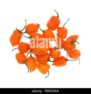 Vista dall'alto di un gruppo di orange habanero peppers isolato su uno sfondo bianco. Foto Stock