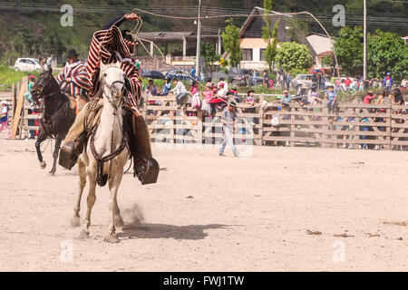 Banos, Ecuador - 30 Novembre 2014: giovani coraggiosi cowboy a cavallo e gettando un lazo, Sud America In Banos Foto Stock