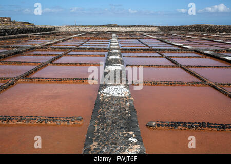 Salinas del Carmen salinse, Las Salinas, Fuerteventura, Isole Canarie, Spagna Foto Stock