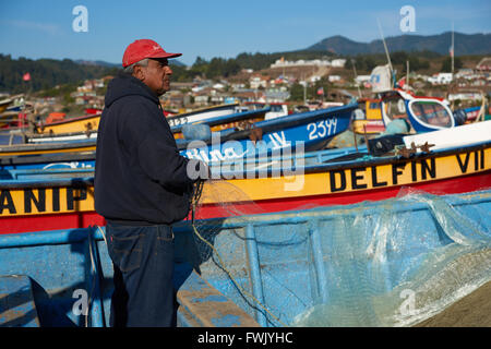 Rimozione dei pescatori merluza (Pacific nasello) dalle reti da pesca a Curanipe in Cile Foto Stock