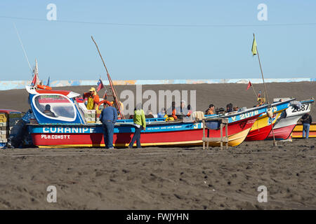 Rimozione dei pescatori merluza (Pacific nasello) dalle reti da pesca a Curanipe in Cile Foto Stock