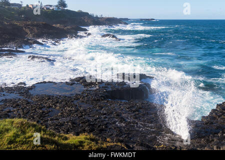 Il piccolo foro di sfiato a Kiama, NSW, Australia Foto Stock