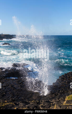 Il piccolo foro di sfiato a Kiama, NSW, Australia Foto Stock