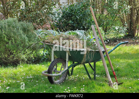 Carriola piena con giardino le erbacce e gli strumenti in un giardino Foto Stock