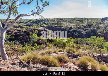 Australia, northwestern Queensland, Boojamulla (Lawn Hill) Parco Nazionale, vista della collina di Prato Gorge Foto Stock
