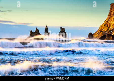 Viste intorno e Vik Reynishverfi (spiaggia nera) Foto Stock