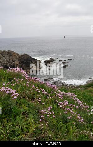 29 Plougonvelin Pointe Saint-Mathieu Foto Stock