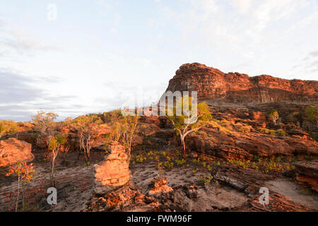 Tenere River National Park, il Territorio del Nord, l'Australia Foto Stock