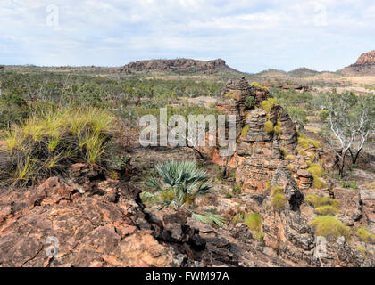 Tenere River National Park, il Territorio del Nord, l'Australia Foto Stock