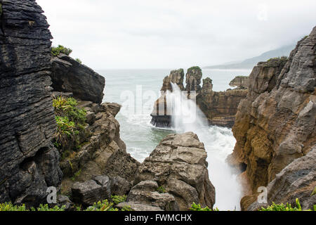 Pancake rocks in Punakaiki, Isola del Sud, Nuova Zelanda Foto Stock