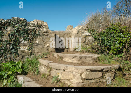 La scalinata in pietra che conduce ad un stile impostato in un muro di pietra. Foto Stock