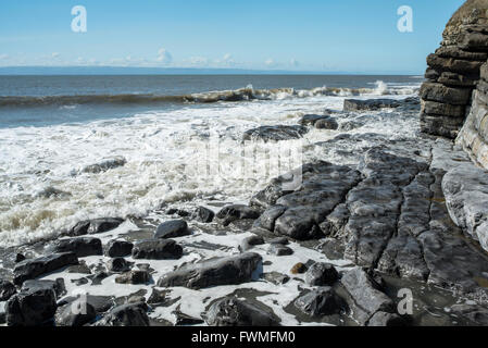 Roccia bagnata da una marea sul Galles del Sud Costa del patrimonio. Foto Stock