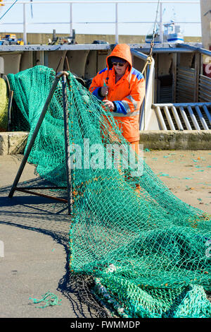 Simrishamn, Svezia - Aprile 1, 2016: pescatore permanente sulla dockside rammendo il suo verde le reti da pesca. Persone reali nella vita di tutti i giorni. Foto Stock