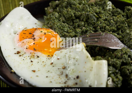 Stufati di ortiche con aglio e un uovo sulla piastra scuro con forca Foto Stock