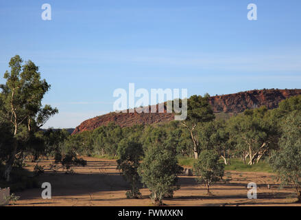 Prosciugato il fiume Todd in alice springs nel territorio settentrionale dell'australia Foto Stock