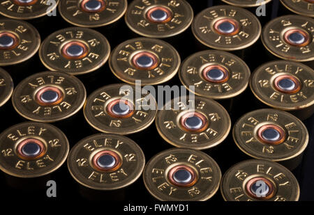 Vita ferma. Cartucce per fucile da 12 gauge Eley Foto Stock