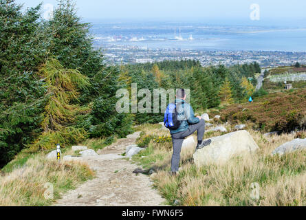 Wicklow modo. Foresta Kilmashogue e spettacolari vedute della città di Dublino Foto Stock