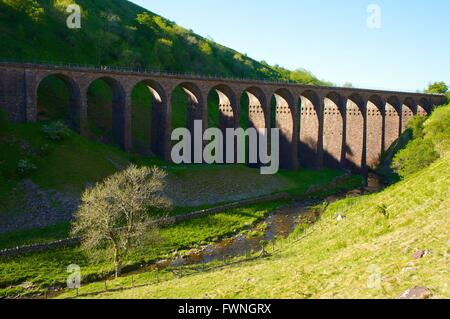 Smardalegill viadotto, Smardale Gill Riserva Naturale Nazionale, Eden Valley, Cumbria, Inghilterra, Regno Unito. Foto Stock