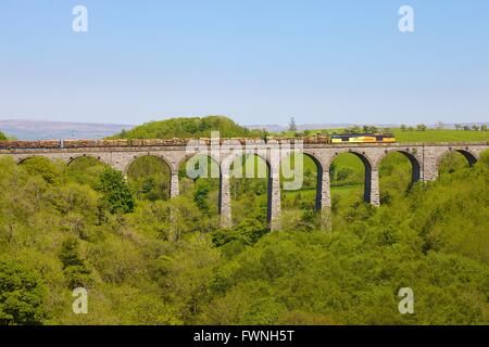Accontentarsi di Carlisle linea ferroviaria. Colas Rail log Freigh treno. Smardale viadotto. Eden Valley, Cumbria, Inghilterra, Regno Unito. Foto Stock