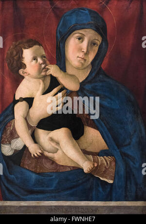 Giovanni Bellini (ca.1430-1516), Maria con Bambino. Foto Stock