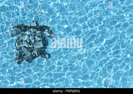 Riflessione di acqua blu in Sea Turtle mosaico piscina con ripple Foto Stock