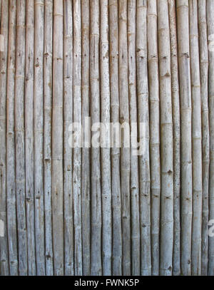 Bambù vecchio sfondo del pannello Foto Stock