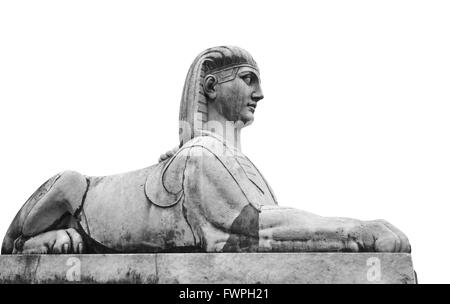 Antica statua di pietra della Sfinge isolati su sfondo bianco. Piazza del Popolo, il centro storico di Roma, Italia Foto Stock