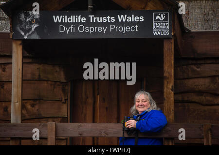 Tracy Norris, medico di medicina generale medico e volontario, al Dyfi Osprey Progetto, Dyfi valley, Machynlleth, Powys Wales UK. ©keith morris www.artswebwales.com keith@artx.co.uk 07710 01970 285968 611106 Progetto: Dyfi 360 orizzontale - per le persone e la fauna selvatica. La Osprey Osservatorio La Montgomeryshire Wildlife Trust ha costruito un sistema allo stato dell'arte osservatorio di uccelli nel mezzo di una remota Welsh zona umida. Tracy Norris (51) era un Hampshire-basato GP con un profondo interesse per i rapaci, specialmente asprì, ma in precedenza non erano mai impegnarsi in qualsiasi attività di volontariato di questo tipo. Ha Foto Stock