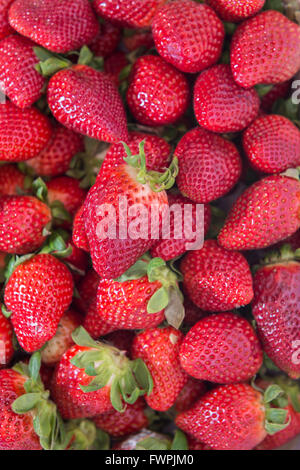 Fraise sur étalage de Marché Marsiglia Francia Foto Stock