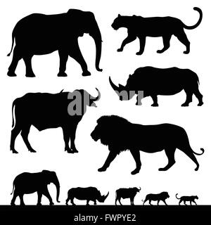 Cinque grandi african safari animali Foto Stock