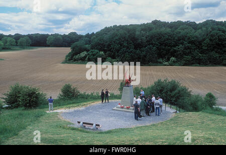 Il Welsh Dragon WW1 Memorial al legno Mametz Foto Stock