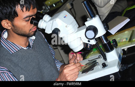 Studente che lavora in laboratorio di biologia Foto Stock