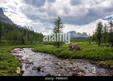 Creek in Monte Assiniboine Parco Provinciale, sul modo di Assiniboine Lodge Foto Stock