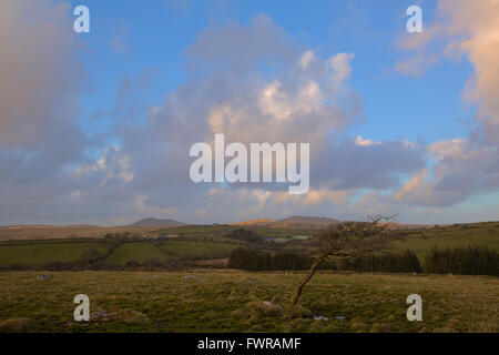 Vista su Bodmin Moor verso Nampara fattoria dove Poldark è stato filmato Foto Stock