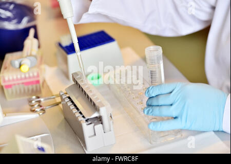 Dettaglio con il ricercatore mani lavorando con contagocce medica e i tubi in un laboratorio di eseguire un test del DNA Foto Stock