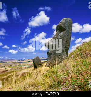 Moais a Rano Raraku. Isola di Pasqua. Foto Stock