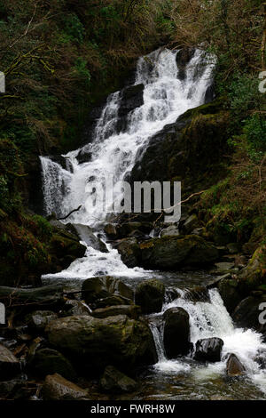Cascata Torc del Parco Nazionale di Killarney Anello di Kerry, Irlanda inverno scende RM IRLANDA Foto Stock
