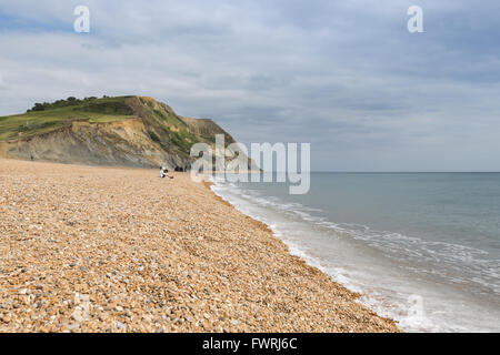 L'affascinante spiaggia di ciottoli ricurva di Seatown sulla Costa Jurassic a Dorset, Inghilterra, Regno Unito Foto Stock