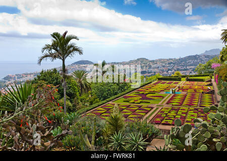 Tropicale Giardino Botanico nella città di Funchal, l'isola di Madeira, Portogallo Foto Stock