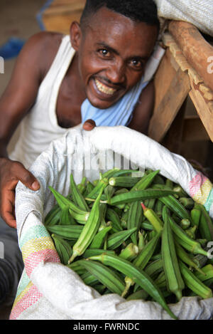 L'Okra raccolto in Humera, Etiopia. Foto Stock