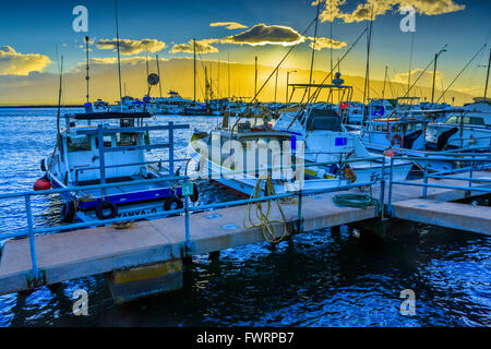 Barche ormeggiate nel porto di Maalaea marina Maui a sunrise Foto Stock