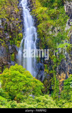 Cascate Wailua sull'Autostrada Hana nella foresta pluviale a Maui Foto Stock