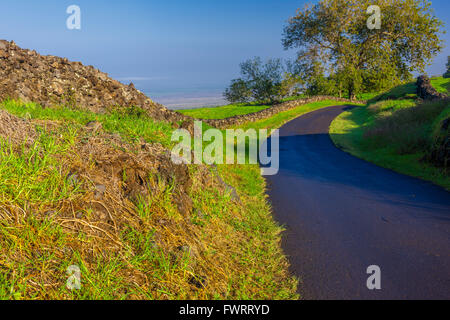 Upcountry Maui vicolo attraverso ranchland Foto Stock