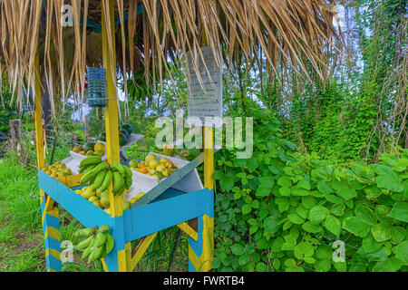 Upcountry Maui frutto tropicale locale stand Foto Stock