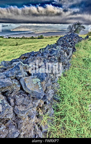 Upcountry Maui Foto Stock