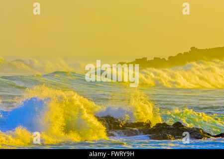 High surf si gonfia a Ho'okipa Beach, Maui Foto Stock