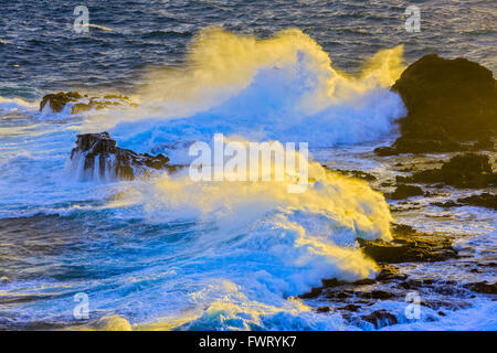 Poelua Bay, Maui Foto Stock